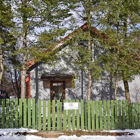 Medaus Apartamentai Trakai Bagian luar foto