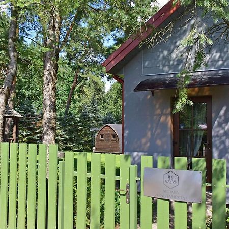 Medaus Apartamentai Trakai Bagian luar foto