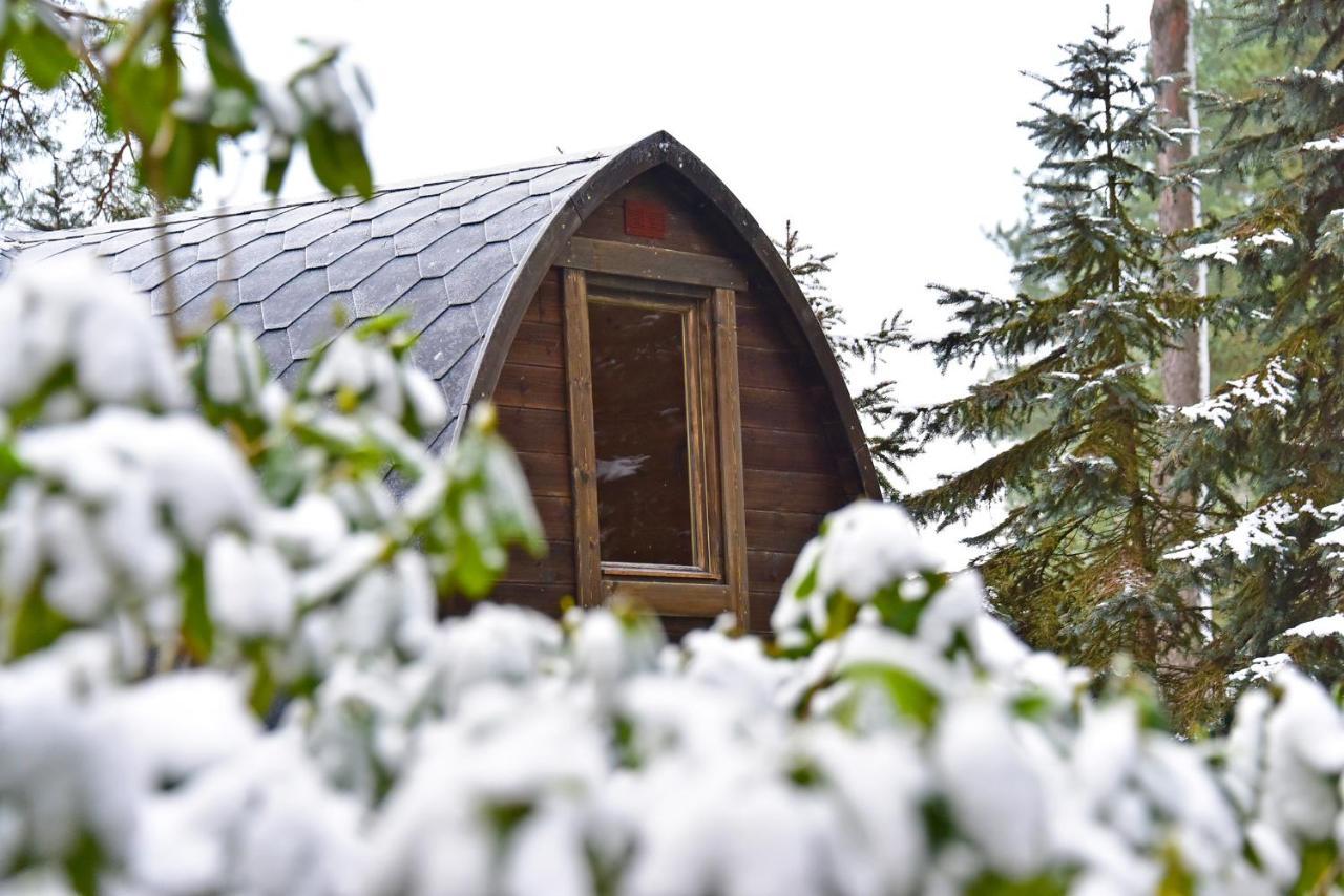 Medaus Apartamentai Trakai Bagian luar foto