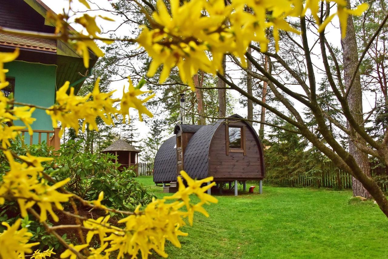Medaus Apartamentai Trakai Bagian luar foto