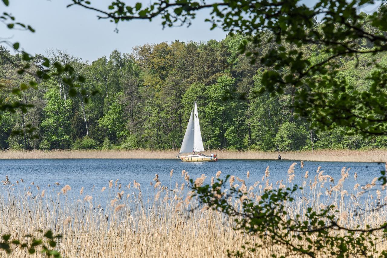 Medaus Apartamentai Trakai Bagian luar foto